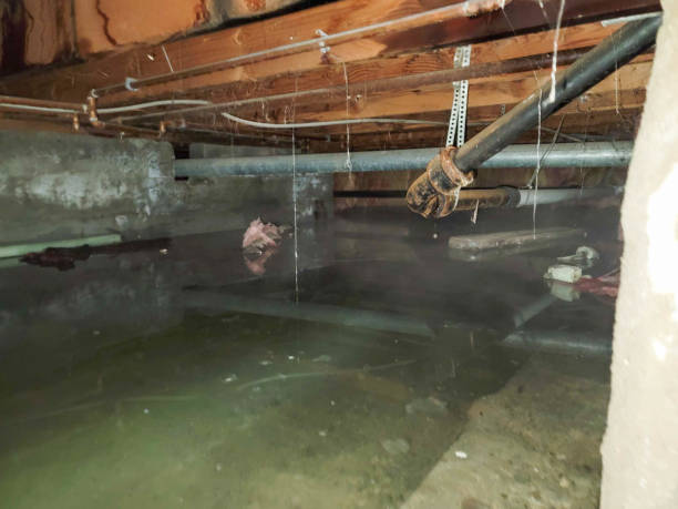 Professional Water damage restoration in Franklin, KY