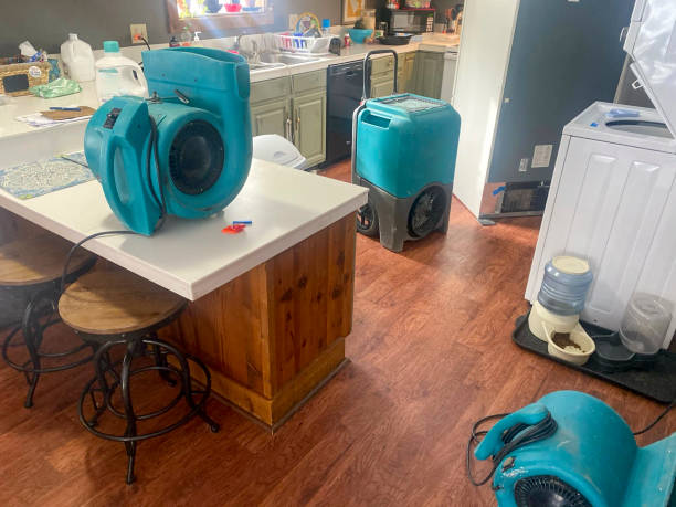 Best Professional water damage repair  in Franklin, KY