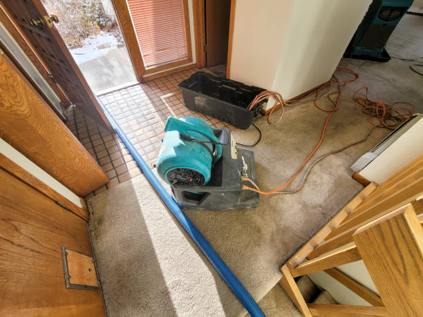 Best Carpet water damage restoration  in Franklin, KY