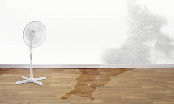 Best Sewage cleanup and water damage restoration  in Franklin, KY