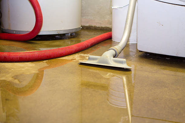Best Basement water damage restoration  in Franklin, KY