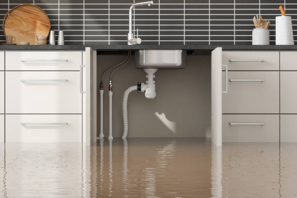 Best Flooded house restoration  in Franklin, KY