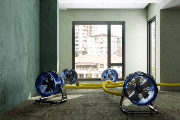 Best Local water damage restoration  in Franklin, KY