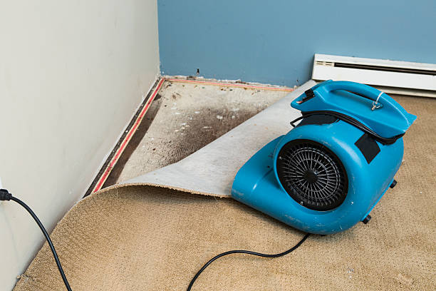 Best Flooded house restoration  in Franklin, KY